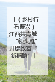 （乡村行·看振兴）江西共青城“领头雁”开辟致富“新稻路”