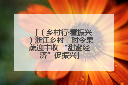 （乡村行·看振兴）浙江乡村：时令果蔬迎丰收 “甜蜜经济”促振兴
