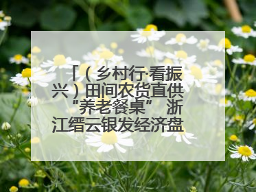 （乡村行·看振兴）田间农货直供“养老餐桌” 浙江缙云银发经济盘活山区资源