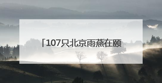 107只北京雨燕在颐和园完成年度“体检”