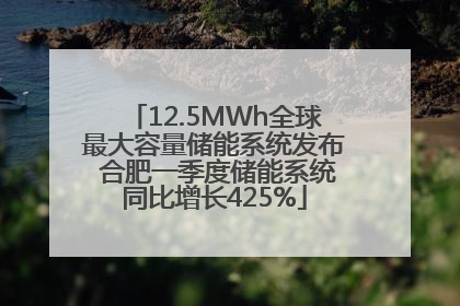 12.5MWh全球最大容量储能系统发布 合肥一季度储能系统同比增长425%