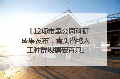 12项市属公园科研成果发布，青头潜鸭人工种群规模破百只