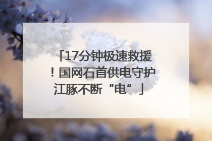 17分钟极速救援！国网石首供电守护江豚不断“电”