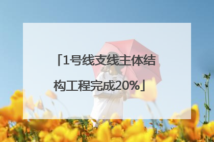 1号线支线主体结构工程完成20%