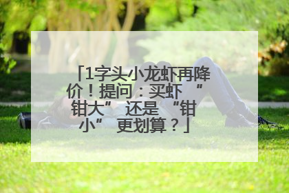 1字头小龙虾再降价！提问：买虾 “钳大” 还是 “钳小” 更划算？