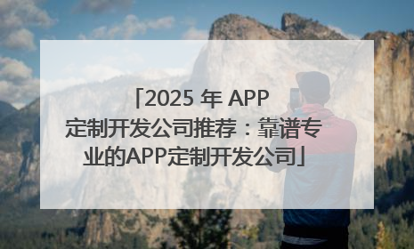 2025 年 APP 定制开发公司推荐：靠谱专业的APP定制开发公司
