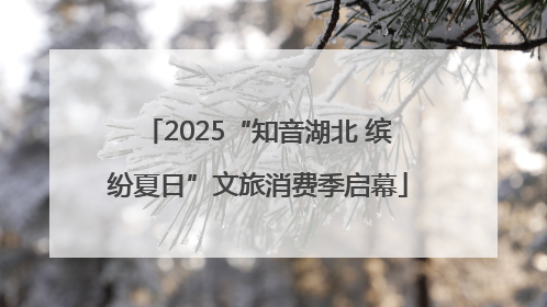 2025“知音湖北 缤纷夏日”文旅消费季启幕