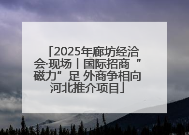 2025年廊坊经洽会·现场丨国际招商“磁力”足 外商争相向河北推介项目
