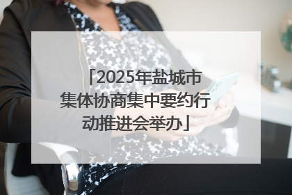 2025年盐城市集体协商集中要约行动推进会举办