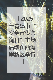 2025年青岛市“安全宣传咨询日”主场活动在西海岸新区举行