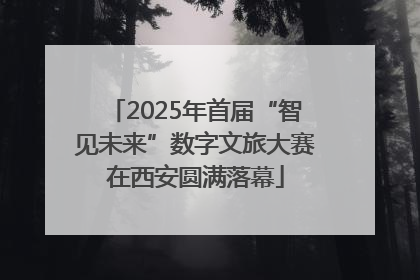 2025年首届“智见未来”数字文旅大赛在西安圆满落幕
