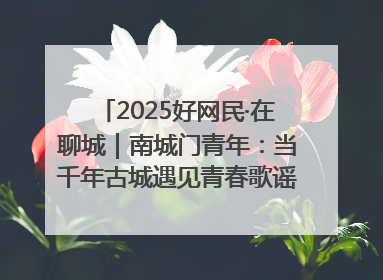 2025好网民·在聊城｜南城门青年：当千年古城遇见青春歌谣 一湖碧水见证的“聊城式浪漫”