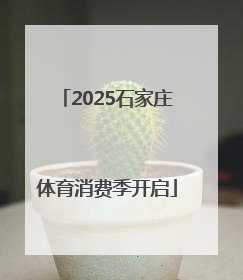 2025石家庄体育消费季开启