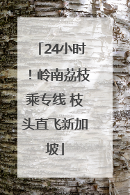 24小时！岭南荔枝乘专线 枝头直飞新加坡