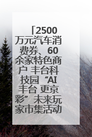 2500万元汽车消费券、60余家特色商户 丰台科技园“AI丰台 更京彩”未来玩家市集活动正式开幕