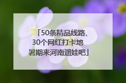 50条精品线路、30个网红打卡地 暑期来河南遛娃吧