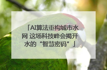 AI算法重构城市水网 这场科技峰会揭开水的“智慧密码”